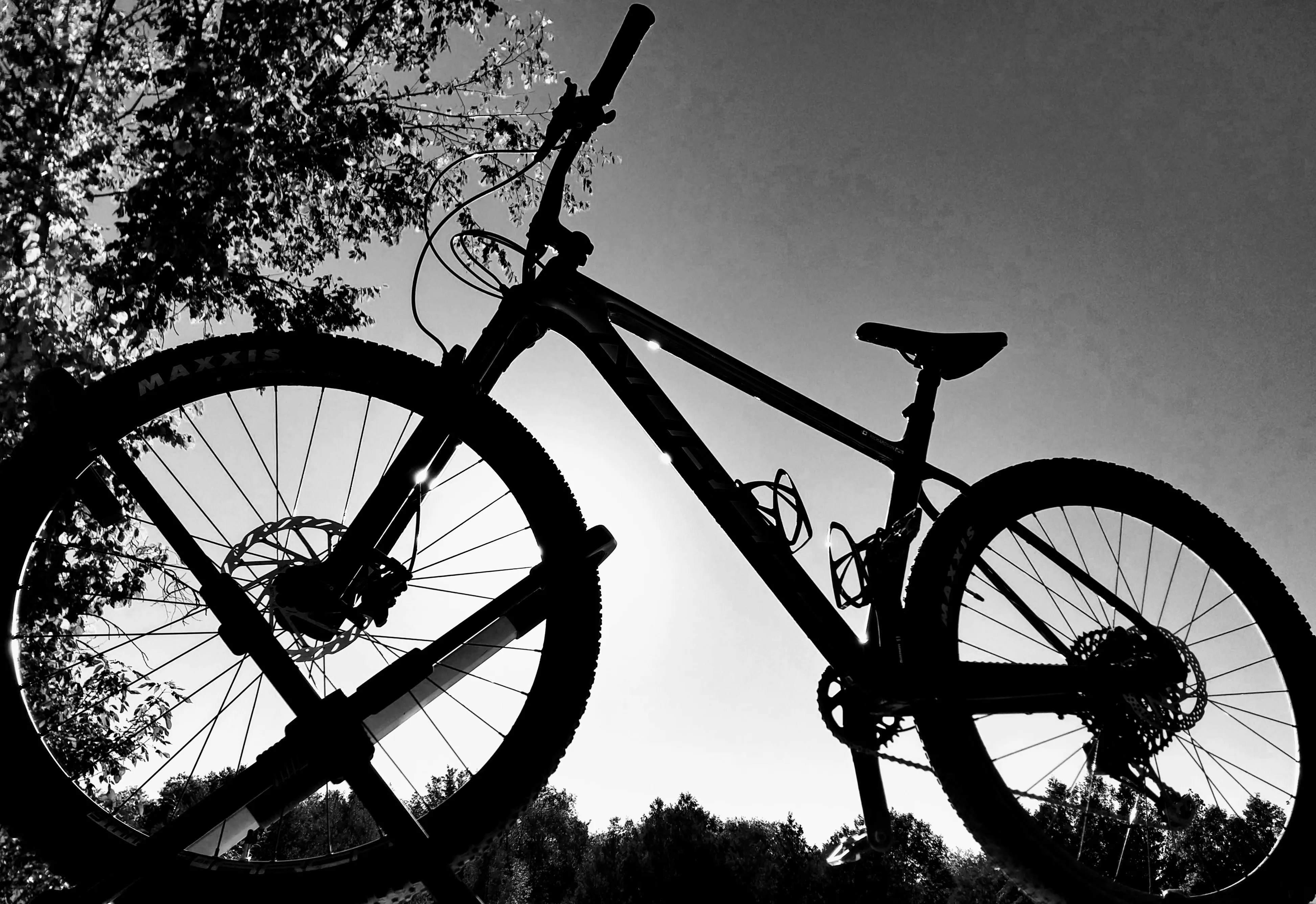 A mountain bike in silhouette against a bright sky, in black and white.